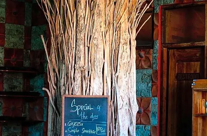 Udara Bali Yoga Detox & Hotel